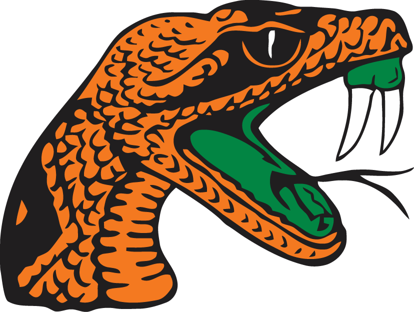 Florida A&M Rattlers 2001-Pres Secondary Logo t shirts iron on transfers